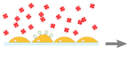 schematic CLaP 3 out of 4