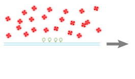 schematic LAPAP 3 out of 4