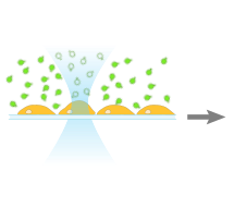 schematic scMOCa 1 out of 5