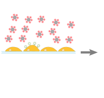 schematic scMOCa 3 out of 5