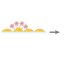schematic scMOCa 4 out of 5