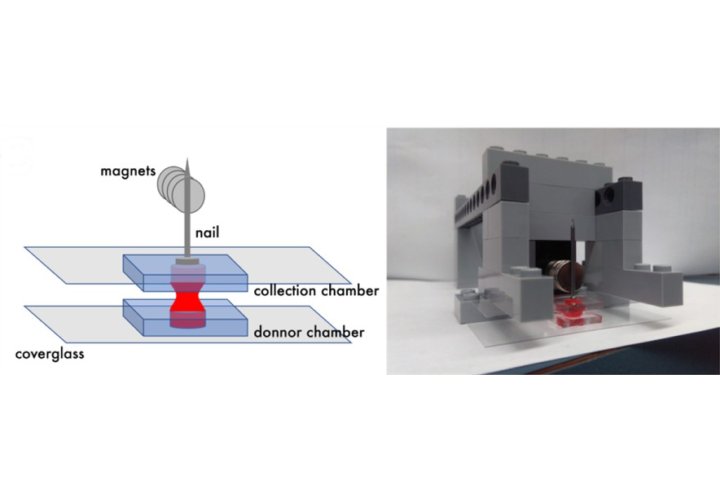 lego montage for cell sorting