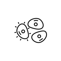 Icon of a 3 cells, one being fluorescent